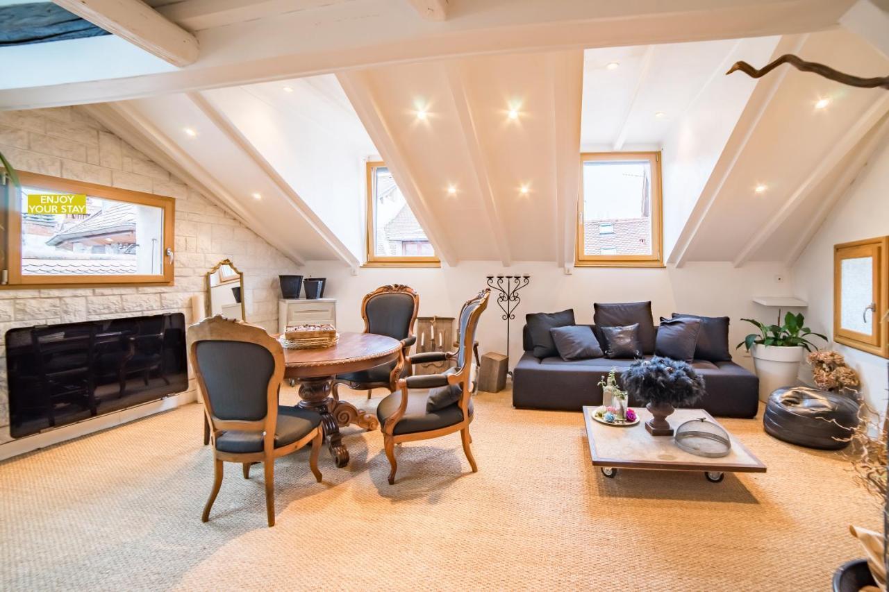 Appartements Atypiques Centre Ville Annecy Bagian luar foto